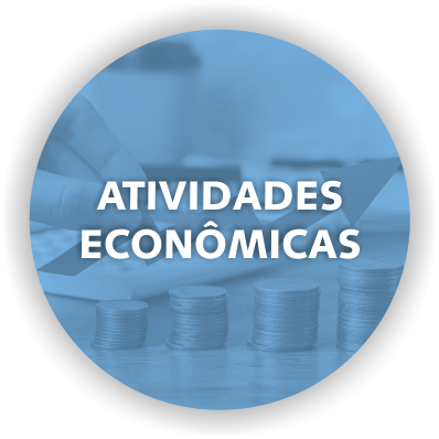 ATIVIDADE ECONÔMICA