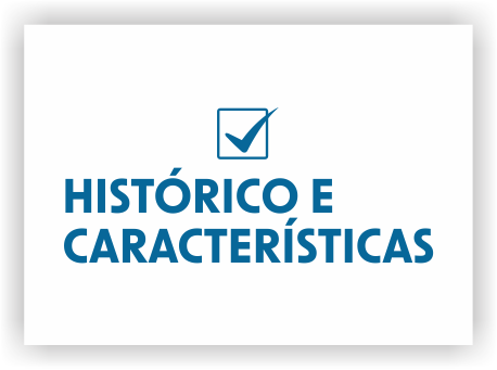 Histórico e Características RJ