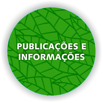 PUBLICAÇÕES