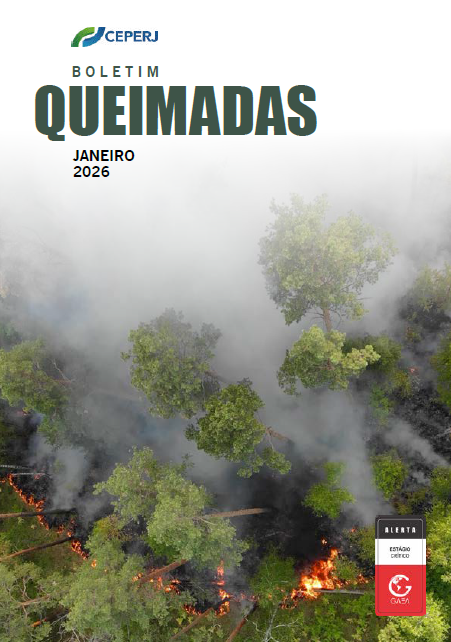 Relatório Queimadas janeiro/2026