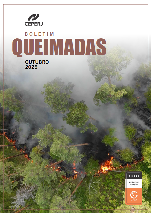 Relatório Queimadas OUT/2025