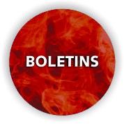 boletins