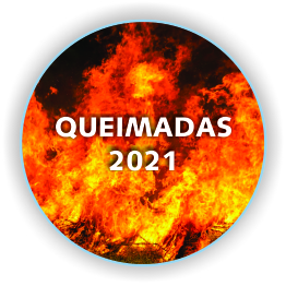 queimadas 2021