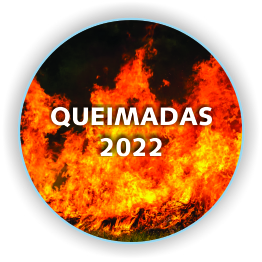 queimadas 2022