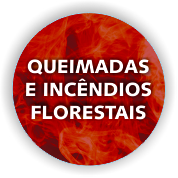 queimadas e incendios florestais