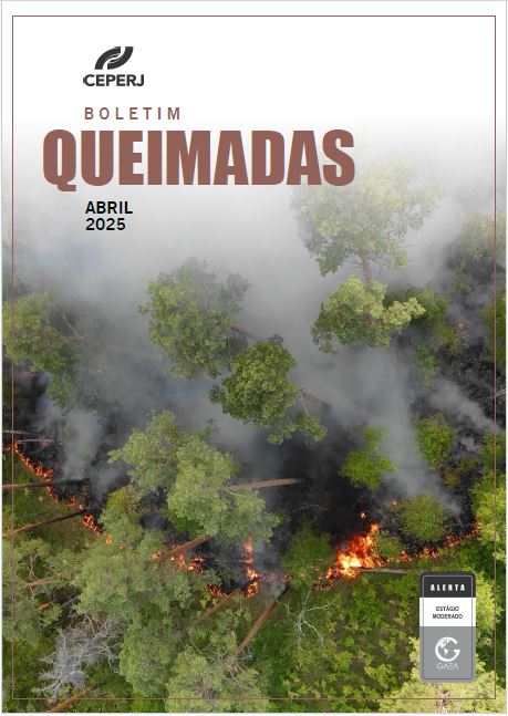 Boletim Queimadas Abril/2025