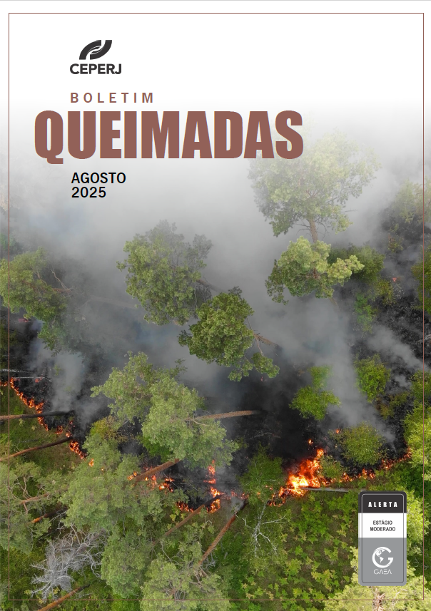 Boletim Queimadas Agosto 2025