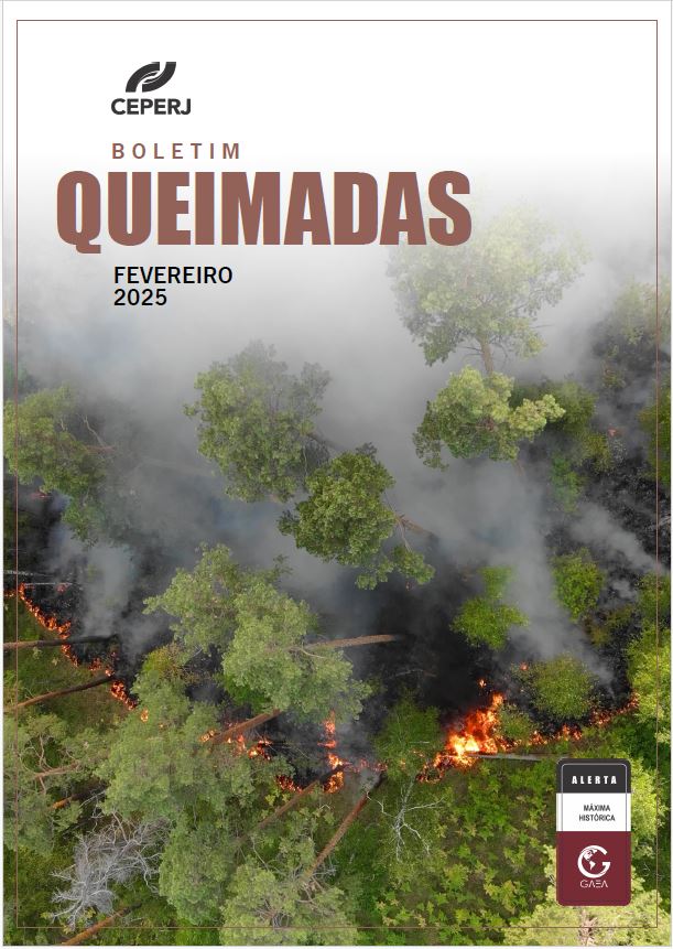 Boletim Queimadas Fevereiro/2025