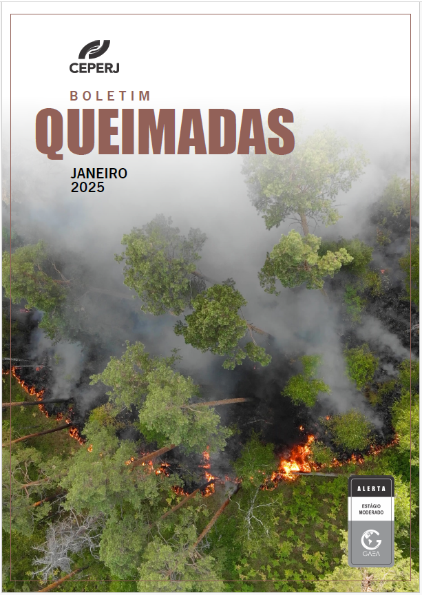 Boletim Queimadas Janeiro/2025