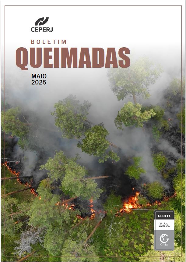 Boletim Queimadas Maio/2025