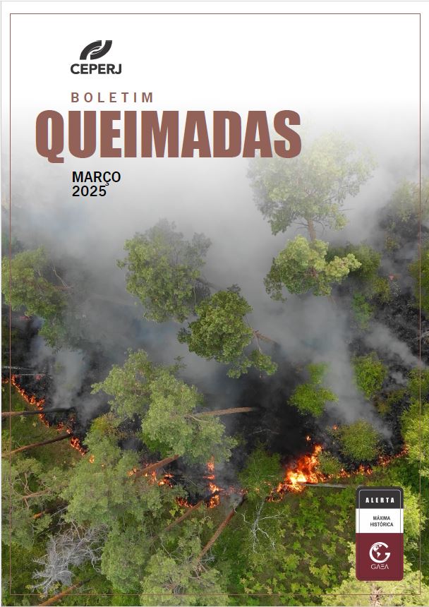 Boletim Queimadas Março/2025