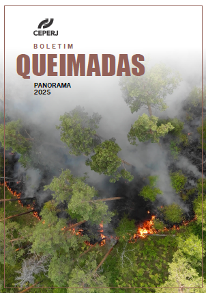 Relatório Queimadas - Panorama 2025