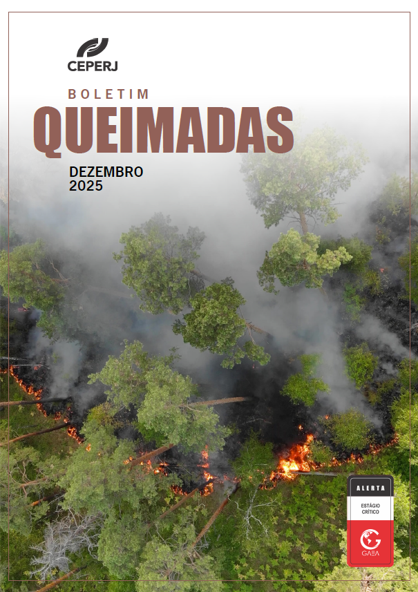 Relatório Queimadas Dezembro/2025