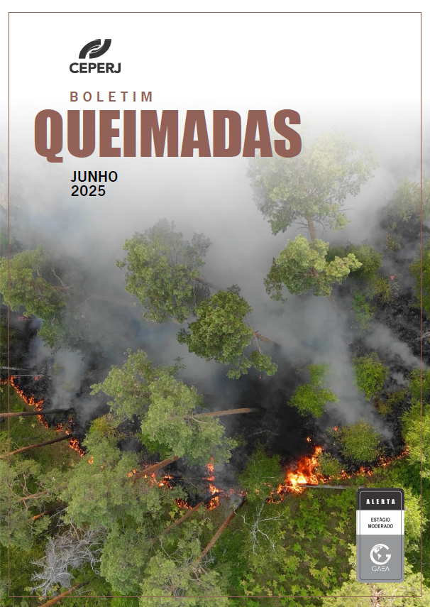 Relatório Queimadas Junho/2025