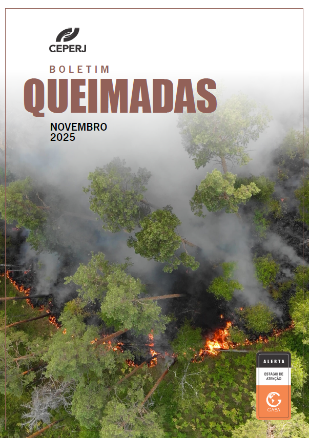 Relatório Queimadas Novembro/2025