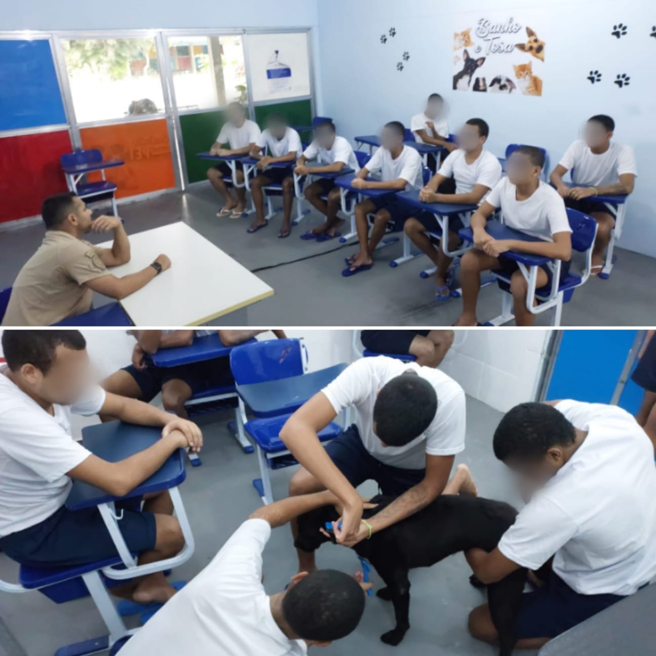 Nova turma de Agente de Higienização Canina 