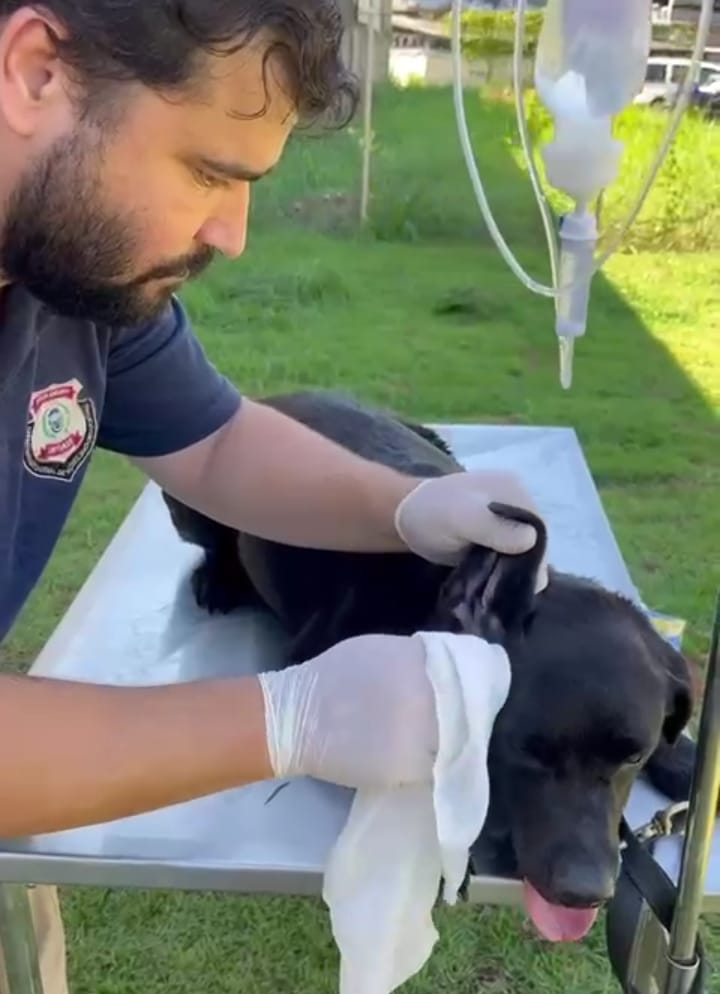 Avaliação Clínica na DAC