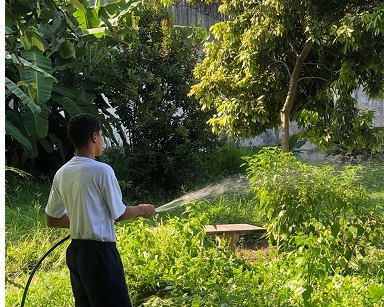 Socioeducando regando as plantas no Cense Maria Luiza
