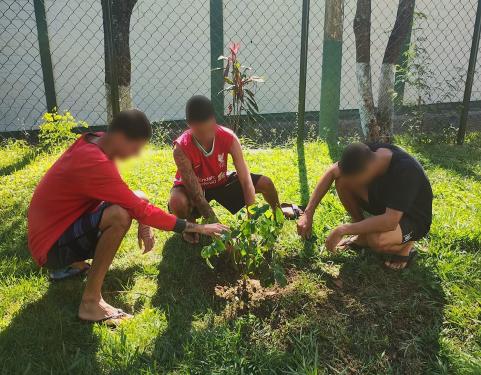 Adolescentes plantando muda no Criaad São Gonçalo
