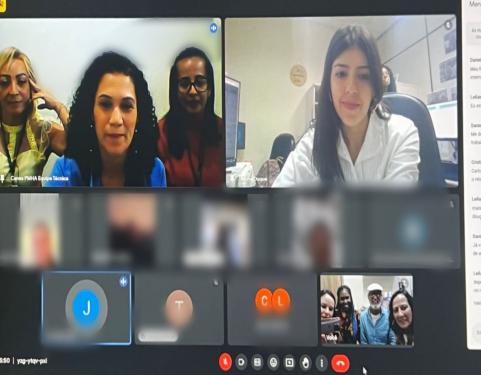 Imagem da reunião on-line acontecendo