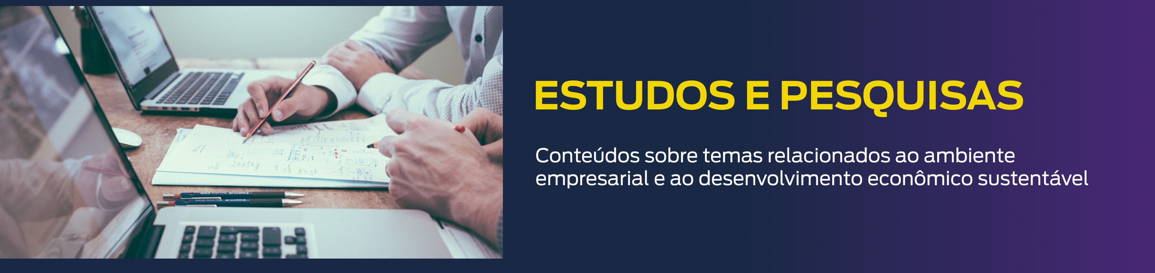 banner estudos e pesquisas