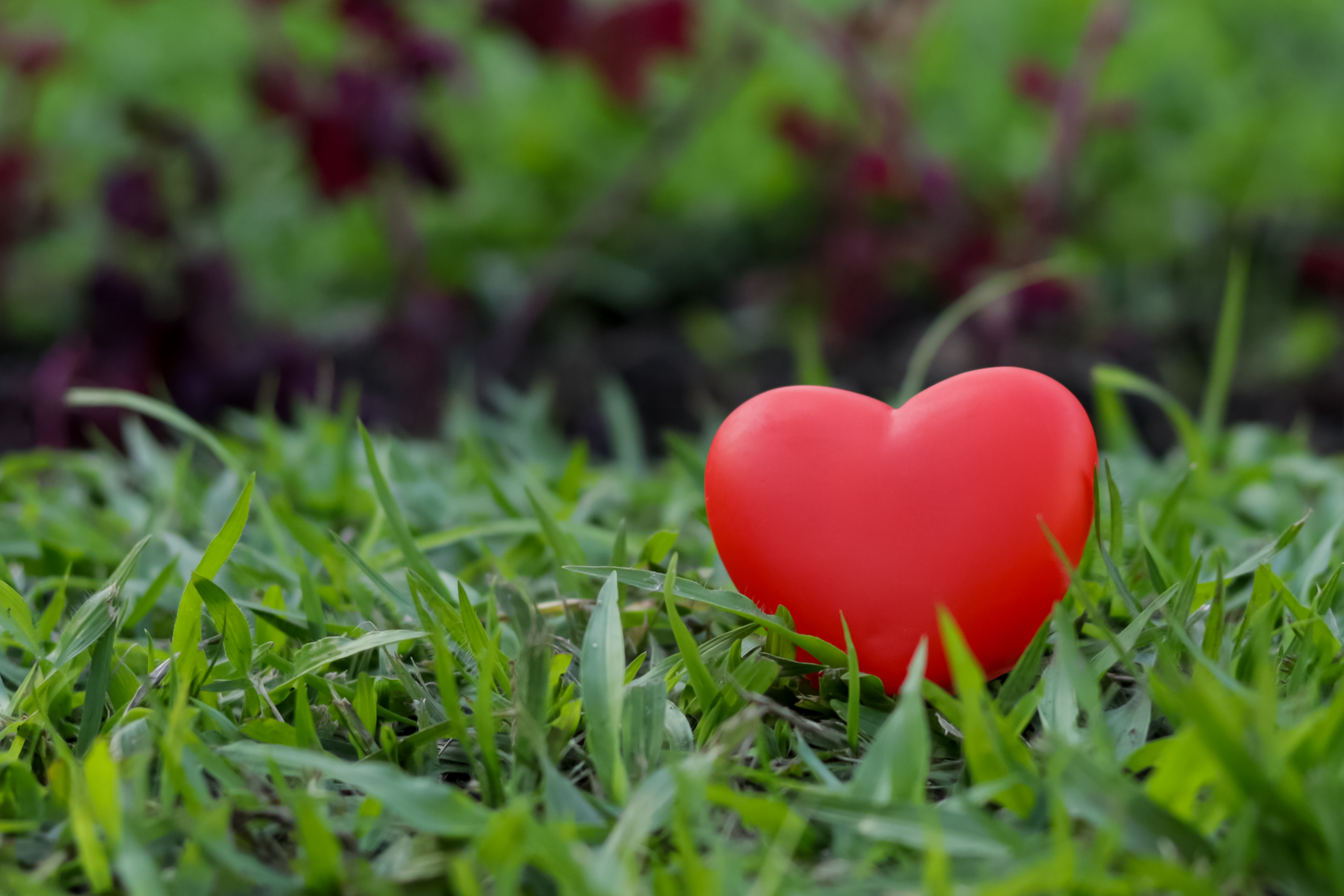 Dia dos Namorados deve movimentar R$ 204,2 milhões no comércio fluminense