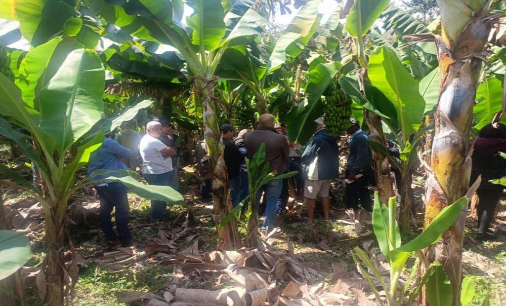 EMATER-RIO promove Dia de Campo de Bovinocultura de Leite em Barra do Piraí
