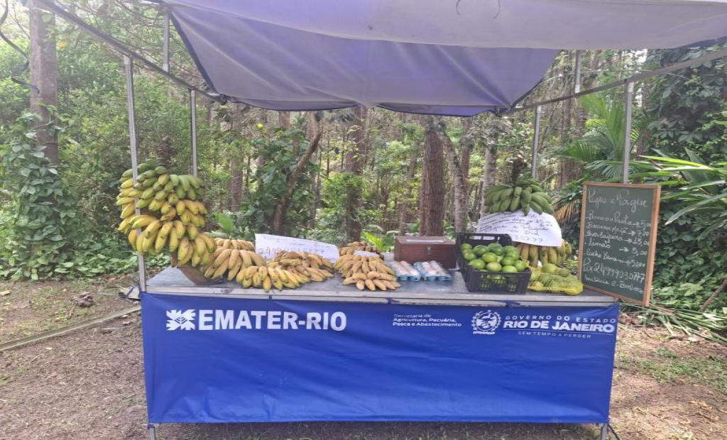 Agricultores de Rio Claro inovam com o projeto “Pegue e Pague”, com apoio da EMATER-RIO