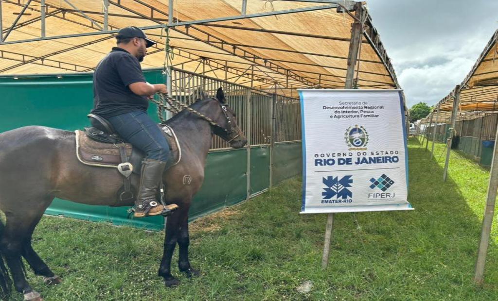 Araruama recebe a 41ª Expo Especializada Mangalarga Marchador com apoio da EMATER-RIO