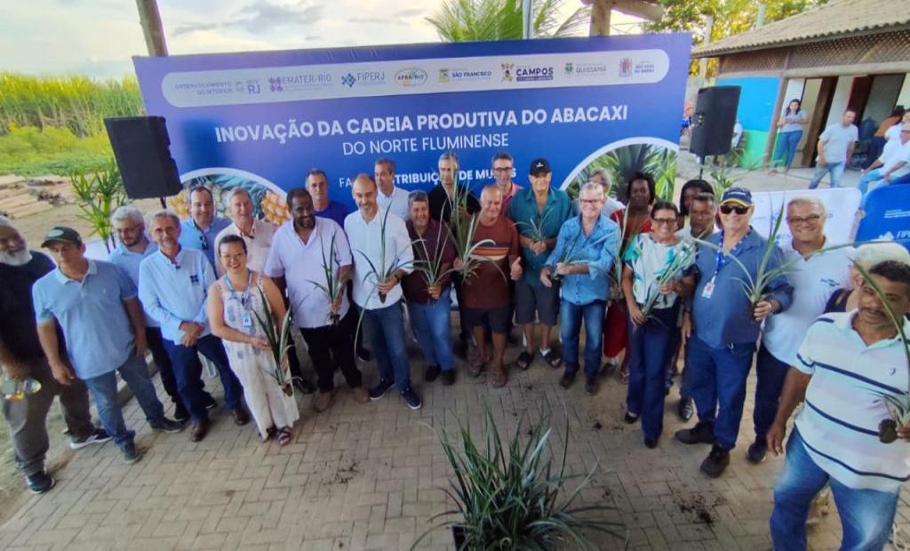 EMATER-RIO realiza entrega de mudas de abacaxi em São Francisco de Itabapoana