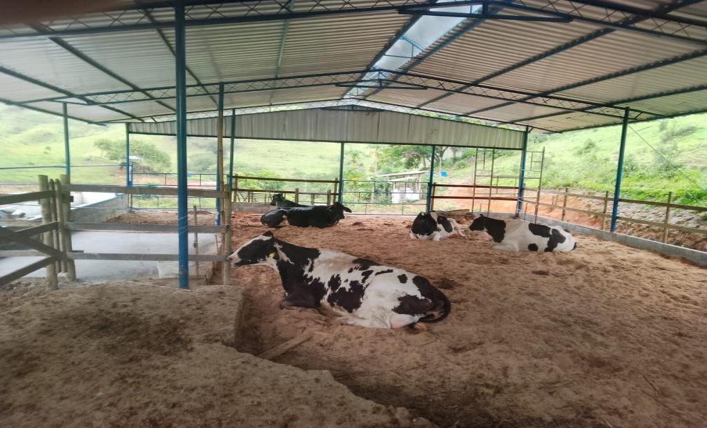EMATER-RIO impulsiona modernização da pecuária leiteira em Barra Mansa com implantação de Compost Barn