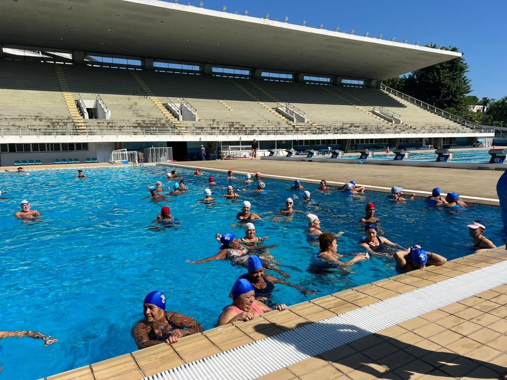 Colônia de férias no Parque Aquático Júlio Delamare: alunos mergulham em dias de diversão e esporte