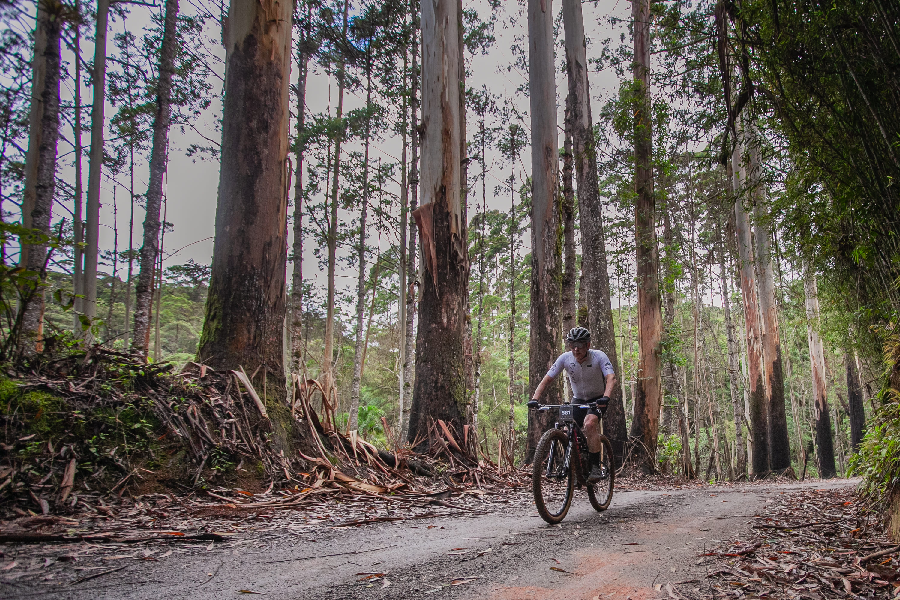 Petrópolis recebe World Trail Races para a última etapa da temporada de 2024