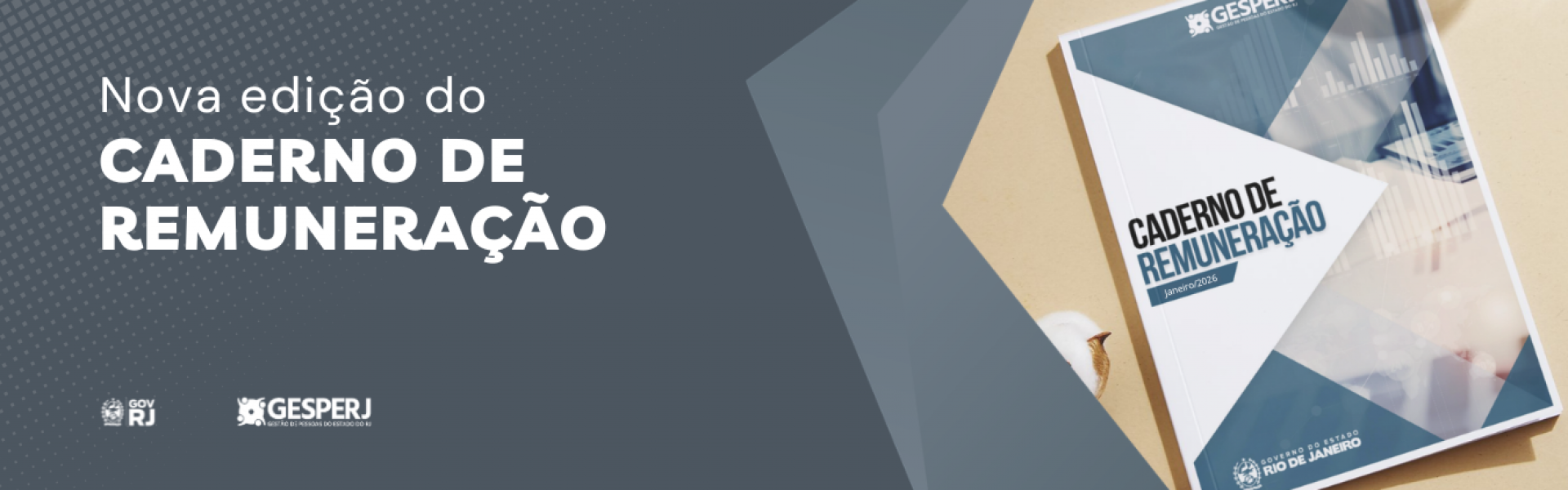 Estado do Rio de Janeiro divulga nova edição do Caderno de Remuneração