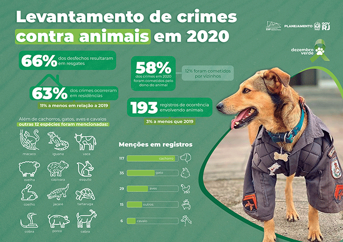 levantamento crimes contra animais 2020