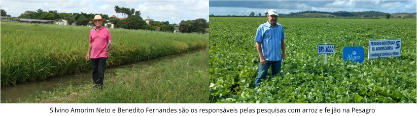 Pesquisadores