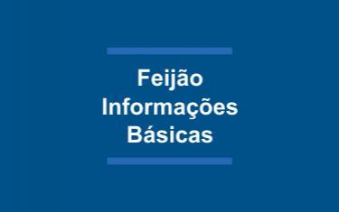 Feijão: informações básicas