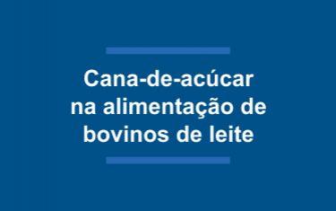 Tecnologia para a produção de cana-de-açúcar visando à sua utilização na alimentação de bovinos de leite 