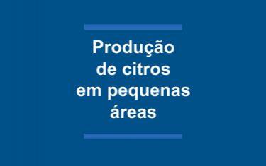 A produção de citros em pequenas áreas no Estado do Rio de Janeiro