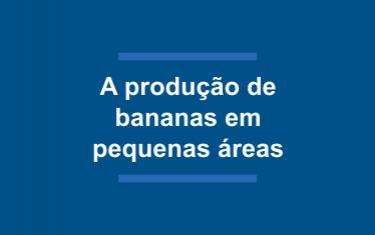 A produção de banana em pequenas áreas no Estado do Rio de Janeiro