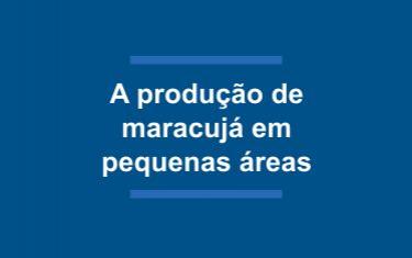 A produção de maracujá em pequenas áreas no Estado do Rio de Janeiro