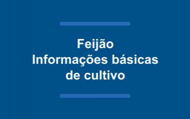 Feijão: Informações básicas de cultivo.