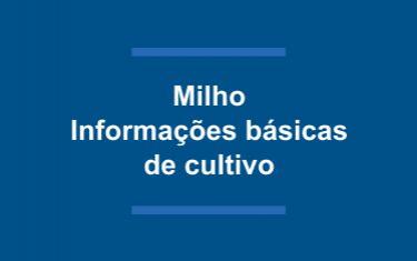 Milho: Informações básicas de cultivo.
