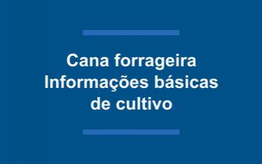 Cana Forrageira: Informações básicas de cultivo.