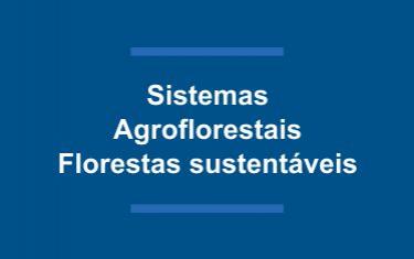 Sistemas Agroflorestais - Florestas Sustentáveis.