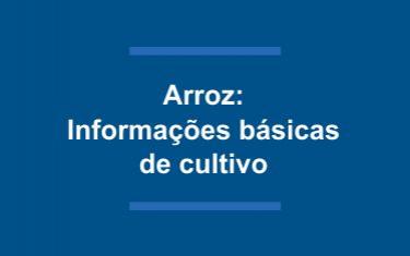 Arroz Informações Básicas de Cultivo