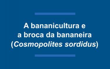 A Bananicultura e a Broca da Bananeira