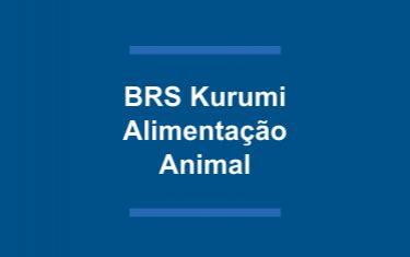 BRS Kurumi - Alimentação Animal