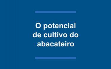 O potencial de cultivo do abacateiro