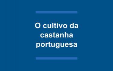 O cultivo da castanha portuguesa